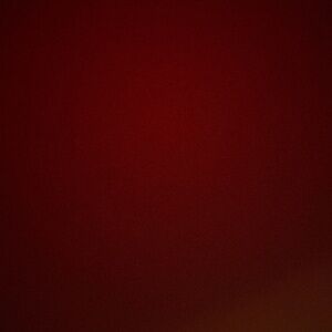 Meet your Posher, Ava